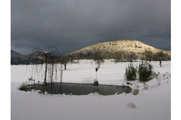 Deutschland Byt Zell am Harmersbach, Exterieur